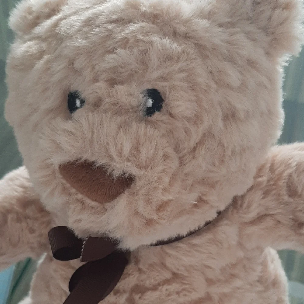NEW🎁CAN GIFTWRAP🎁"Love You Forever"byRobert Munsch➕NWT Cuddly Tan Teddy Bear👶 - Picture 8 of 8